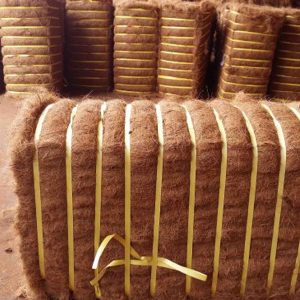 Coir fiber bale