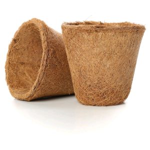 Coir pots