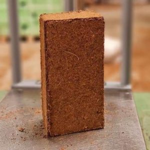 Coco peat bricks